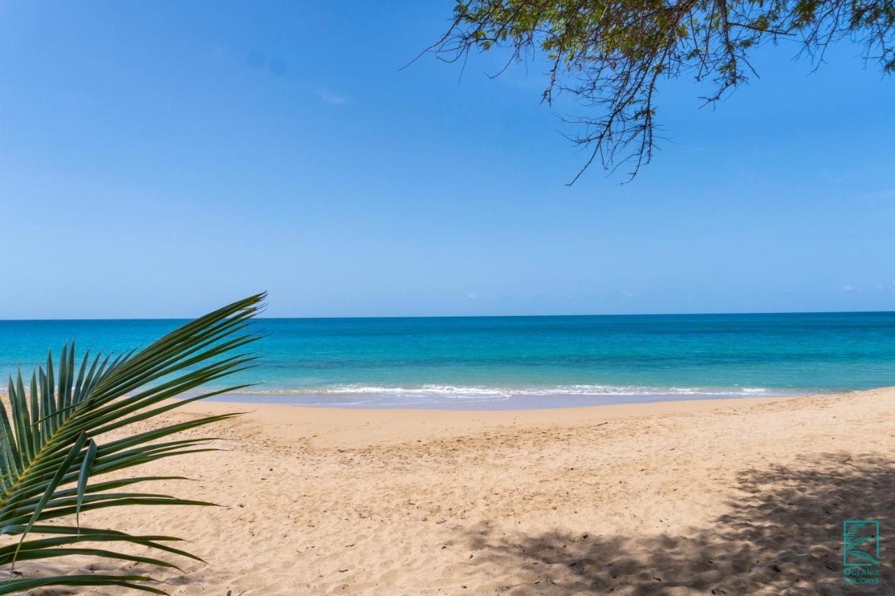 Magnifique Et Spacieux T2 Proche De La Plage - La Kiss House Apartment Deshaies Ngoại thất bức ảnh